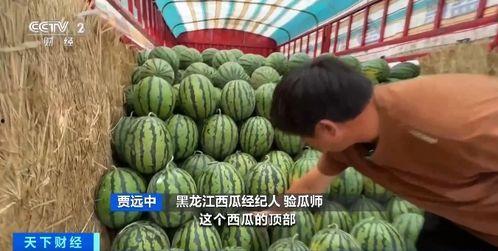 欧根吃瓜,揭秘娱乐圈的甜蜜与苦涩