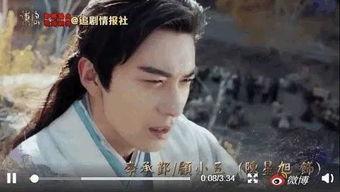 吃瓜综艺双男主,双男主综艺美食之旅