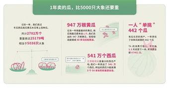 生鲜吃瓜消费报告,洞察市场趋势，揭秘消费者喜好