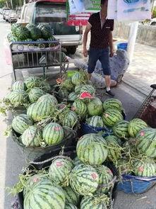 天津吃瓜大队事件,网络舆论场上的风波与反思