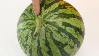 离普吃瓜,揭秘娱乐圈背后的真实故事