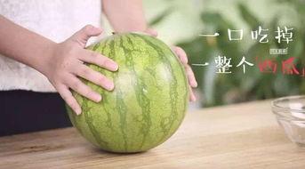 整个吃瓜视频,一场全民参与的娱乐盛宴