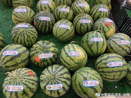 上海静安吃瓜,夏日美食之旅