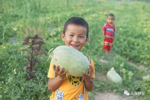 上海静安吃瓜,夏日美食之旅