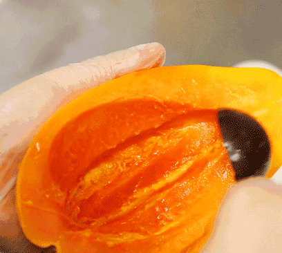 意大利前排吃瓜,一场独特的“吃瓜”盛宴