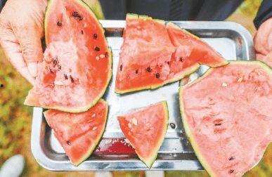 梦吃土瓜,探寻记忆深处的味蕾之旅