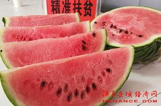 梦吃土瓜,探寻记忆深处的味蕾之旅