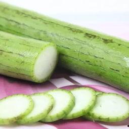 虫吃瓜文案,自然美味尽收眼底