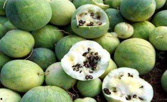 岑中吃瓜,揭秘娱乐圈背后的那些事儿