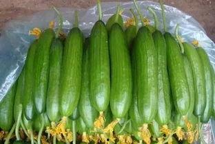 22日吃瓜,娱乐圈最新热点事件深度解析