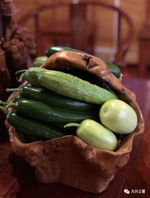 陕西大网红吃瓜