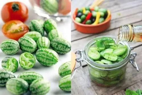 吃瓜食用指南,吃瓜食用指南全解析