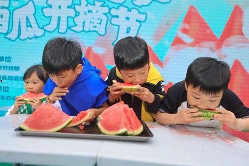 欢乐吃瓜现场意思,揭秘娱乐圈幕后故事