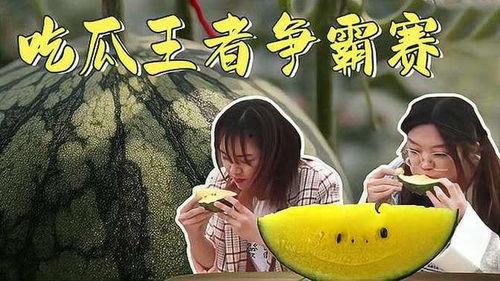 吃瓜大赛完结版,全民狂欢，揭秘娱乐圈幕后风云