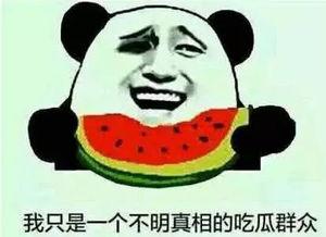 吃瓜群众都怎么吃,揭秘现代人的“瓜”文化现象